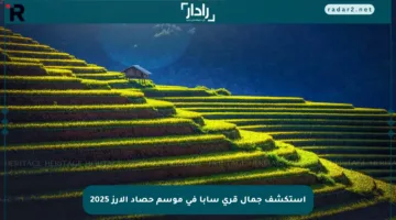 استكشف جمال قرى سابا في موسم حصاد الأرز 2025